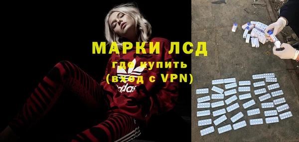 ПСИЛОЦИБИНОВЫЕ ГРИБЫ Касимов